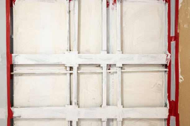 Trusted Butler, PA Mold Removal Experts