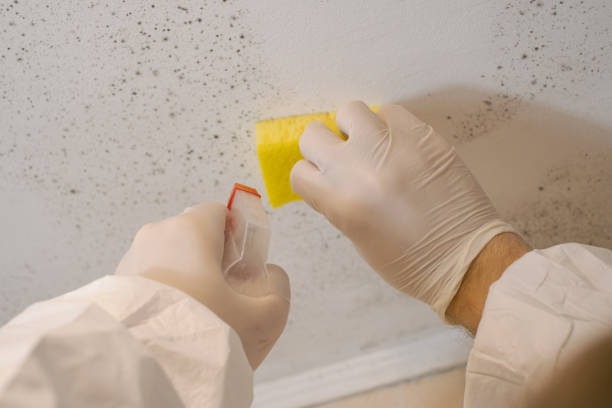 Dehumidification Services in Butler, PA