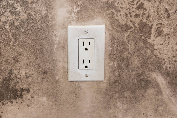 Forensic Mold Investigation in Butler, PA